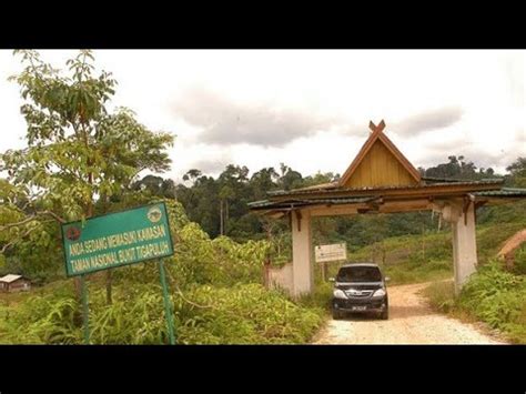 Berita Senin Agus Bukit Wisata Jemaah Haji Tiba Di Jambi