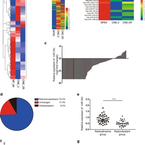 Expression Of Mir C Is Downregulated In Npc Cells And Tissues And