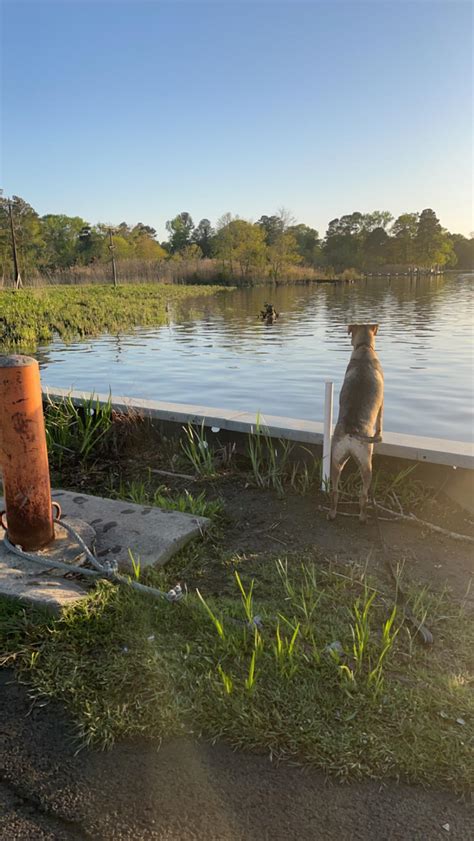 Peace And Quiet At The Wicomico River Rmaryland