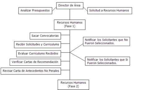 Resumen De Art Culos Como Es El Proceso De Seleccion De Personal