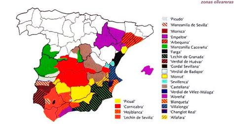 Navarvid Plantas De Vides Y Olivos Vivero Con M S De A Os De