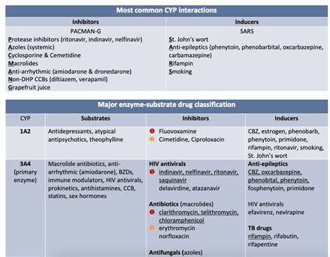 Common Drug Interactions Cheat Sheet Etsy