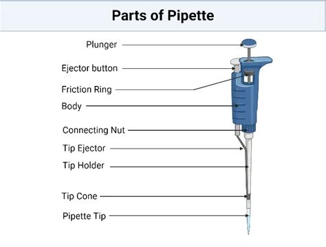 Pipette Definition Principle Parts Procedure Applications