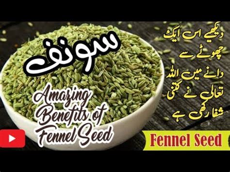 Amaizing Health Benefits Of Fennel Seeds Sonf Ke Fawiad Benefits Of