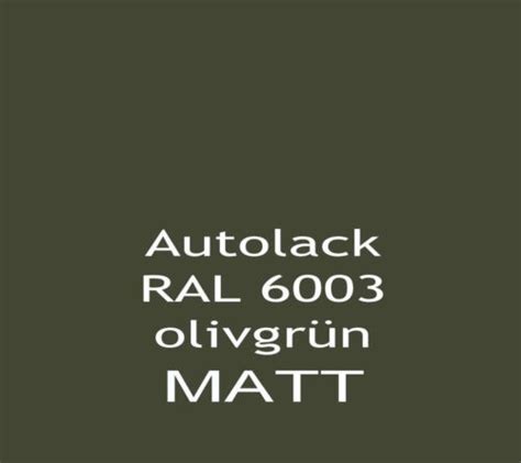 5 5 Liter Set 2K Acryl Autolack RAL 6003 olivgrün MATT Autolack E089 eBay