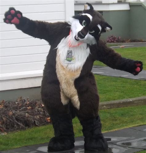 Odakota Raccoon Fursuit By Twinky Arts Fursuit Furry Raccoon