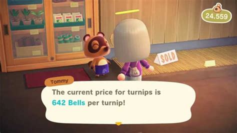 How To Maximize Animal Crossing New Horizons Turnip Profits With A Few