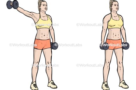 Single Dumbbell One Arm Lateral Raises Side Flyes Shoulder