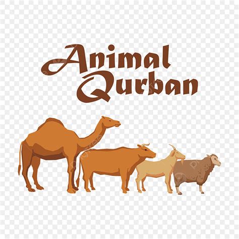 Qurban Eid Vector Png Vector Psd And Clipart With Transparent