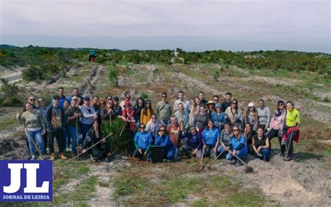 Jornal De Leiria Colaboradores Da CUF Reflorestam Pinhal De Leiria