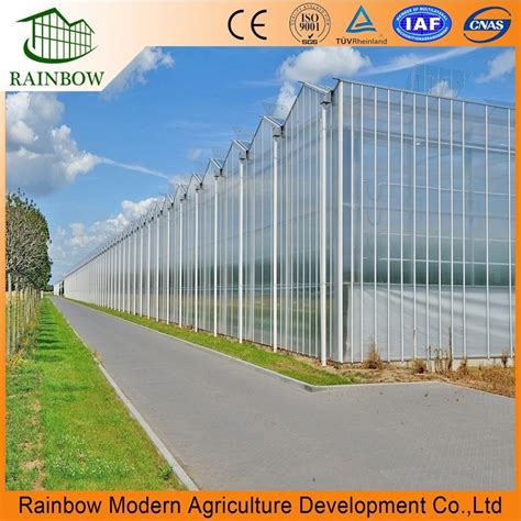 Agricultural Commercial Durable Polycarbonate Sheet Greenhouse With