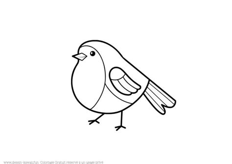 Coloriage Oiseau Dessins Oiseaux Gratuit Imprimer