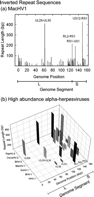 Plot Showing The Repeat Length And Genome Position Of Inverted Repeats