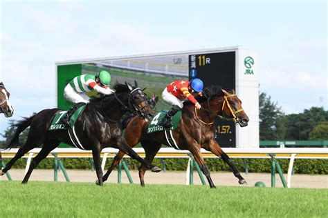 【新潟記念】4歳牝馬シンリョクカ、猛追をハナ差しのいで歓喜の重賞初制覇！｜競馬ニュース｜競馬予想のウマニティ