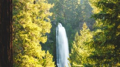 Bucket List Alert Best Magic Places To Visit In Southern Oregon