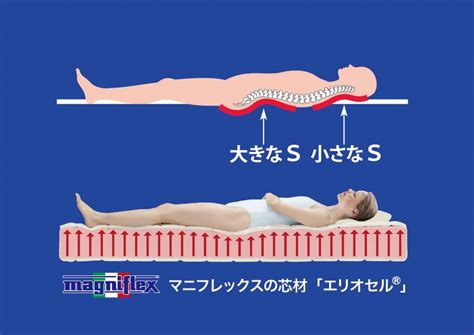 【寝具の基礎知識】 「体圧分散性」と「高反発性」 マットレスにとって、より重要なのはどっち？ Eふとんやさんcom激安ふとん寝具の山田ふとん店