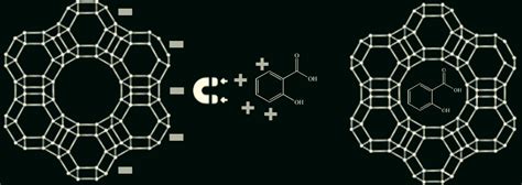 Heavy Metal Detox Holomua Labs