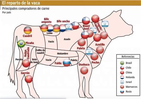 Cortes De Carne Argentinos De Carne Vacuna