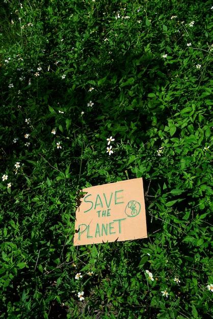 Cartel de cartón escrito salvemos el planeta en la selva concepto de