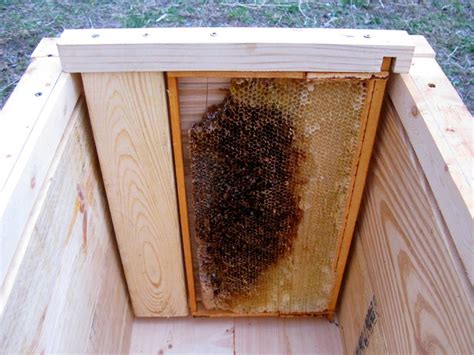 Langstroth To Layens Hive Conversion Free Plans Natural Beekeeping