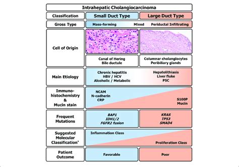 Clinico Pathologic And Molecular Summary Of Intrahepatic