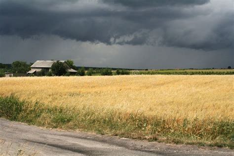 Storm Clouds Over Wheat Field