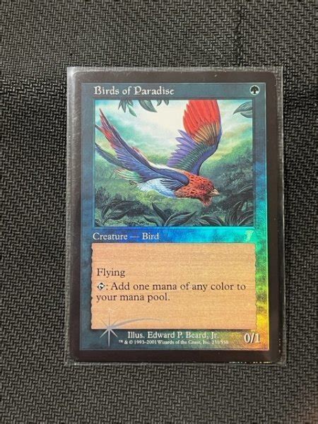 Mtg プロキシ Foil 極楽鳥 Birds Of Paradise その他 ｜売買されたオークション情報、yahooの商品情報をアーカイブ公開 オークファン（）