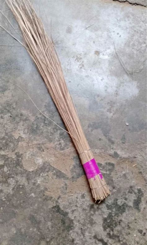 Coconut Stick Brooms At Rs 70 Piece Coconut Brooms In Cuttack ID