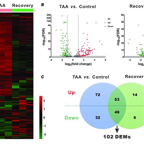 Identification Of Differentially Expressed MiRNAs DEMs A Heatmap