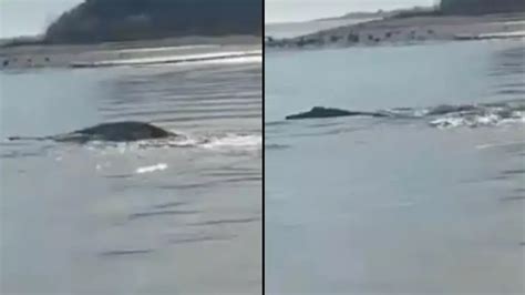 Footage has people wondering if Loch Ness Monster has left Scotland ...