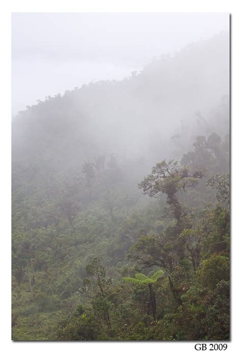 Nature Photography By Glenn Bartley Ecuador Nature Photography