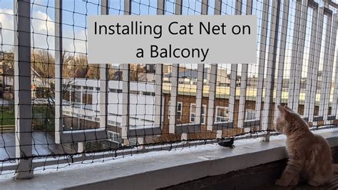 How To Cat Proof A Balcony 11 Solutions Balcony Boss