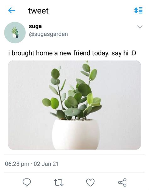 Kiki On Twitter Namgi Au Where Yoongi Runs A Soft Plant Account