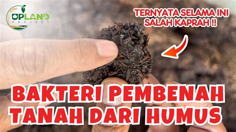 Bakteri Terkuat Pada Alam Yang Mampu Membenah Tanah Selama Ini Salah