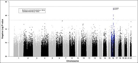 Manhattan Plot Of Genome Wide Association Analysis Results This Figure Download Scientific