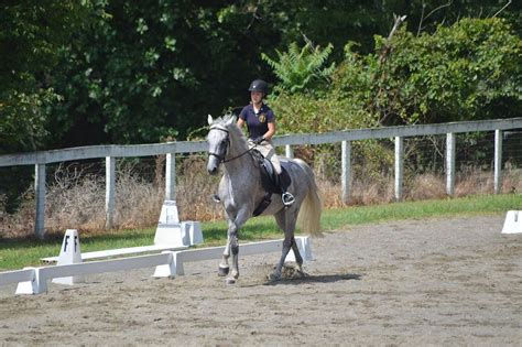 Pickering Hunt Pony Club