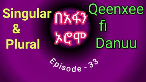 Learn The Afan Oromo Language Singular And Plural Forms In Amharic Afaan Oromoo Fikremartube