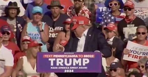 Donald Trump Seemingly Shot In The Ear At Pennsylvania Rally