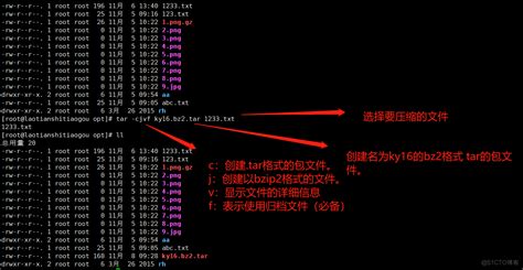 掌握linux文件命令大全，轻松搞定文件操作！ 《linux就该这么学》