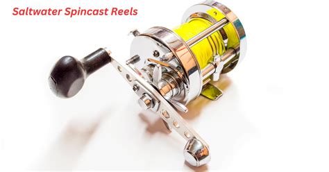 Saltwater Spincast Reels A Comprehensive Buying Guide