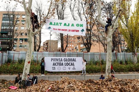 70 expertos piden la paralización de las talas de árboles por la línea