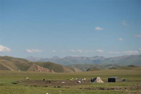 新疆独库公路旁的蒙古族游牧民，住蒙古包骑马放牧，牛羊漫山遍野