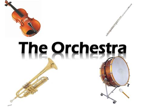 The Orchestra - Brass | Teaching Resources