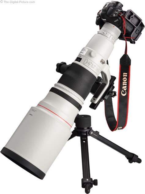 Canon EF 600mm f/4L IS II USM Lens Review