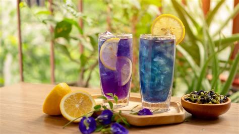 Premium Photo Glasses Of Blue And Violet Color Butterfly Pea Flower Juice Drinking Yellow