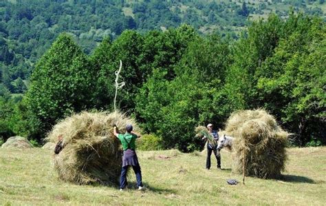 Jeta në fshatrat e Opojës dhe Gorës dikur dhe sot Foto In For