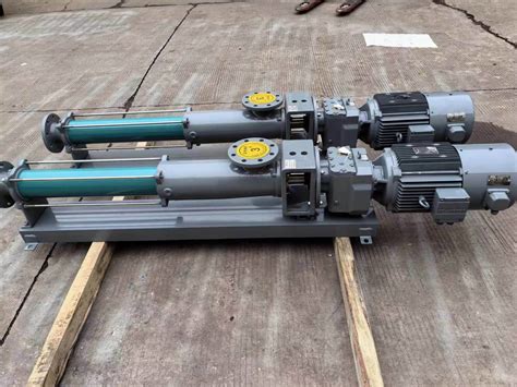 Factory Lifetime Service Oil Screw Pump Multiphase Pump Twinsingle