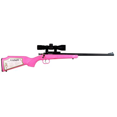 Ksa Pink Syn Pkg 22lr Scope Mount Case Defense Depot