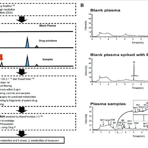 Analytical Strategy For The Detection And Identification Of DOX