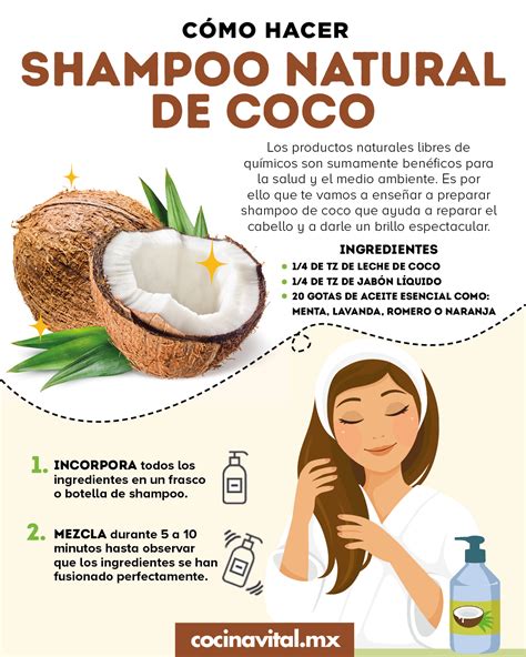 C Mo Hacer Un Shampoo Casero De Coco Sin Qu Micos Y S Lo En Pasos